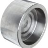 stainless steel forged socket cap